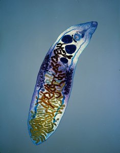 tumblr_ltoft7R7Kd1qb3iw0o1_500