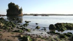 Low tide in Garibaldi