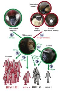 Screen Shot 2015-05-22 at 8.38.01 PM