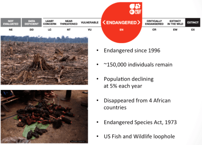 Screen Shot 2015-05-22 at 8.38.24 PM