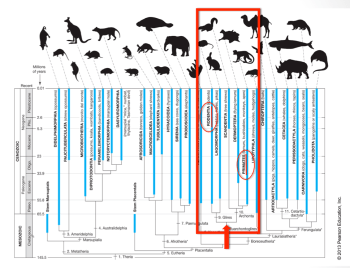 Screen Shot 2015-05-22 at 8.39.01 PM